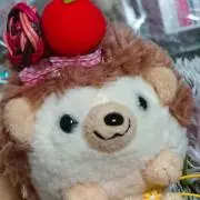 ハリネズミ♪