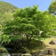 遼Kの画像