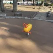 引越し