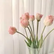 やいの画像