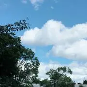 まぐ