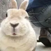 amkの画像