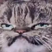 はるまき
