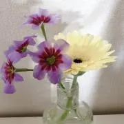 しずくの画像