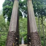 サリー