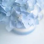 めの画像