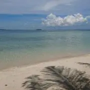 折出の画像