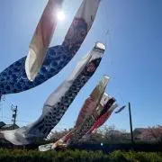 まめの画像