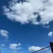 symの画像