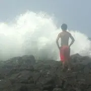 海ゴリラ