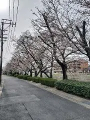 kazu平常心