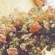 *ちょこ* 週末おまとめ割引UP♡の画像