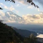 hamuの画像