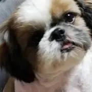 しめじ