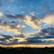 Kiriの画像