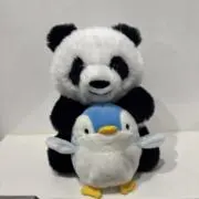 ぱんだこの画像