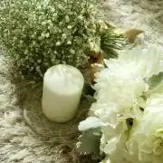 cocoroの画像