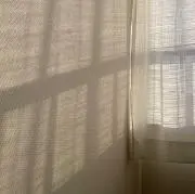 apの画像