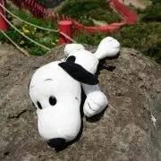 せーの画像