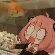 masaの画像