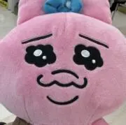 SHKの画像