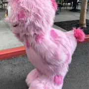 きなの画像