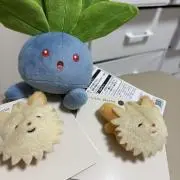 kokoの画像