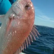 マサ次郎