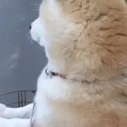 mの画像
