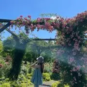 Yの画像