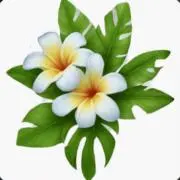 マハロ♪6/24〜6/28発送不可の画像