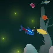 ※クラゲ※   ※プロフィール必須