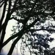 takの画像