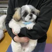みここの画像