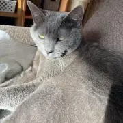 もっちゃんの画像
