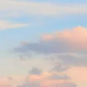 Lilyの画像