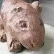 Aki Ideの画像