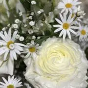 MkNa