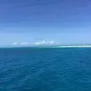 あやめの画像