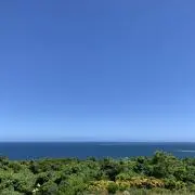 のりのりアフタヌーン。