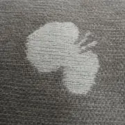 アナベルの画像