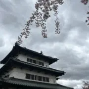 hinaの画像