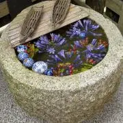 ちょんの画像