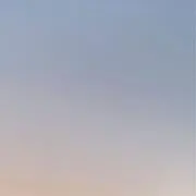 Ronの画像