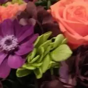 familyの画像