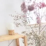 etoileの画像