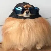 まんなかの画像