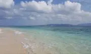 ももの画像