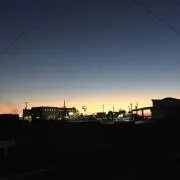 ミッチー