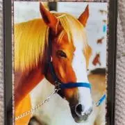 お馬様の画像